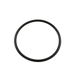 Waterway 805-0230 Jumbo Jet internal O-Ring