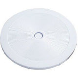 Pentair 85004700 Optional Top Access Lid for Skimmer - White