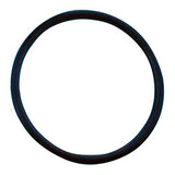 Jandy Zodiac W150131 O-Ring for LM Serires