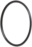 Pentair FSO O-Ring