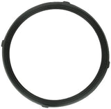 Pentair 619599Z Lens Gasket for AquaLumin III Pool and Spa Lights