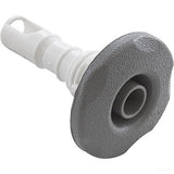Waterway 229-1547 2" FD Adjustable Cluster Storm 5-Scallop Jet Internal - Gray
