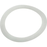 Pentair 195004 Polyethylene Washer