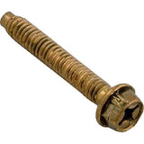 Pentair 79210600 Hex Head Bolt for Pool & Spa Light
