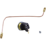 Jandy Zodiac R0322900 Pressure Switch & Syphon Loop Assembly