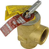 Pentair 072138 0.75" Relief Valve for Pool and Spa Heater