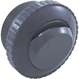 Pentair 540002 1.5" MPT Wall Fitting with Slot Opening - Dark Gray