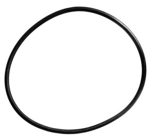 Astral Pool 4404180201 Cantabric Filter Lid O-Ring