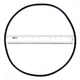 Astral 4404210302 O-Ring for Filter Tank