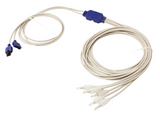 Balboa 20-5926 LED Spyder Lights for String Lights