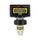 Blue-White RB-200S4-GPM1 Digital Flowmeter