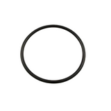 Waterway 805-0230 Jumbo Jet internal O-Ring