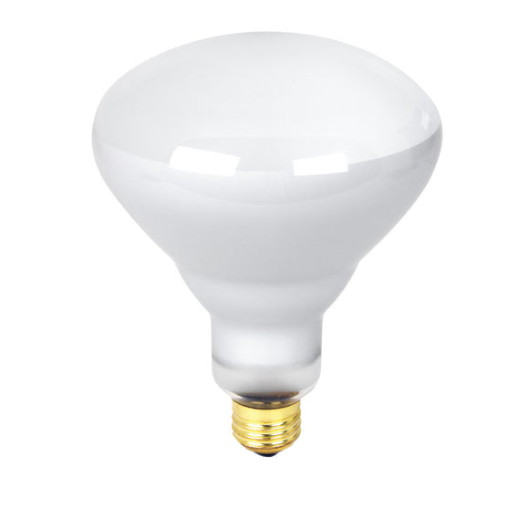 APC APC120500M 500W R40 130V Flood Incandescent Light Bulb