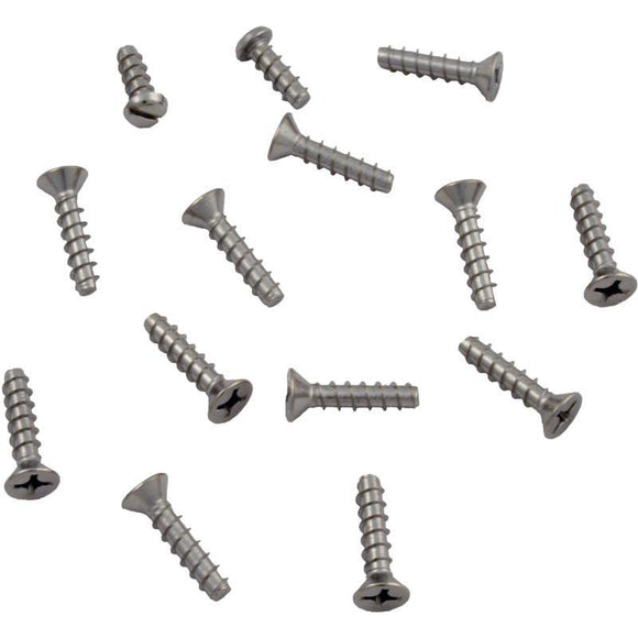 Hayward SPX1084Z4A Self Tapping Face Plate Screw Kit