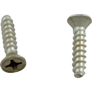 Hayward WGX1030Z1A Cover Screw without Metal Inserts - Set of 2