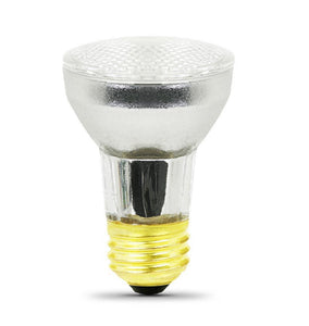 Jandy Zodiac R0450505 120V 100W Lamp for Spa Light