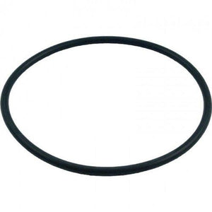 Pentair 272541 O-Ring for Pool or Spa Filter and Valve