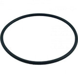 Pentair 272541 O-Ring for Pool or Spa Filter and Valve