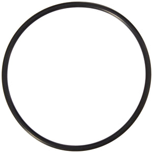 Pentair PacFab 350037 4" Diffuser O-Ring for EQ Series Commercial Plastic Pump