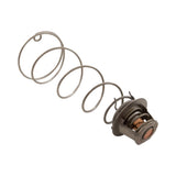 Pentair 460924 Thermal Regulator Kit for MasterTemp & Max-E-Therm Heaters