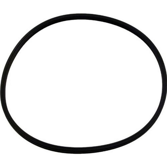 Pentair 51001000 Quad Lid Ring for 1.5