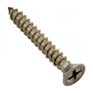 Pentair 552539 Stainless Steel Screw for Square Drain