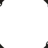 Pentair 630025 Gasket for QuickNiche Pool and Spa Light Niches