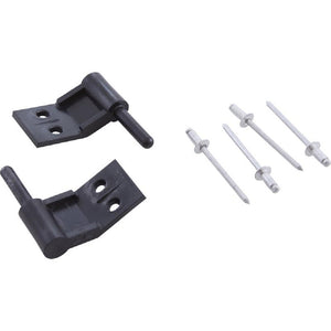 Pentair LXPIN Interior Faceplate Power Center Hinge Pins - 2 Pack