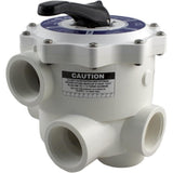 Praher SM-20-2 2" FPT Multiport Valve