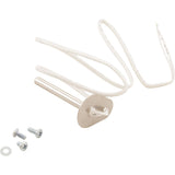 Zodiac R0719400 Flue Sensor Kit, Zodiac/Jandy Pro Series Jxi