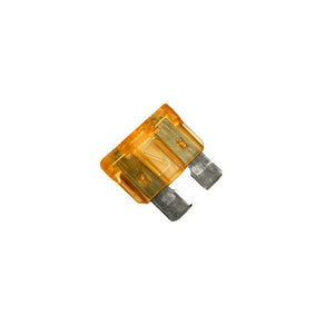 Raypak 013733F 5A Fuse for Heater