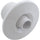 Waterway 212-8810 Jet Ozone Cluster Directional Large Smooth Face White