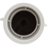 Waterway 670-1100 1" Check Bath Valve with Flapper Assembly