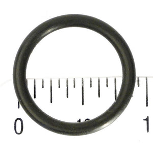 Waterway WW8050116EPB O-Ring for Pool Filters