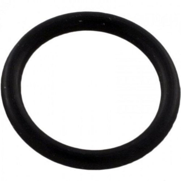 Pentair 192115 O-Ring Drain Plug for Pool or Spa Filter and Pump