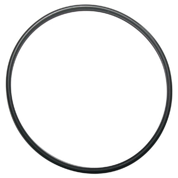 PENTAIR 87300400Z Clean and Clear Tank O-Ring