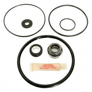 APC APCK1039 O-Ring and Seal Kit for Maxim Pump