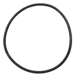 APC 360-7470 6" O-Ring for Filter