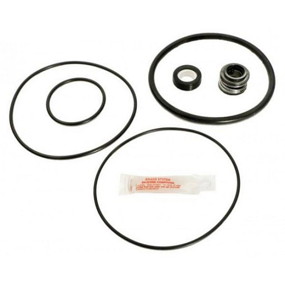 APC APCK1029 Repair Kit with Seal and O-Ring for Flo-Master Pump