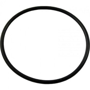Pentair 192323 O-Ring for Pool or Spa DE Filter and Pump