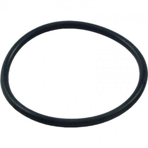 Pentair 273062 O-Ring for Pool or Spa Pump and Valve