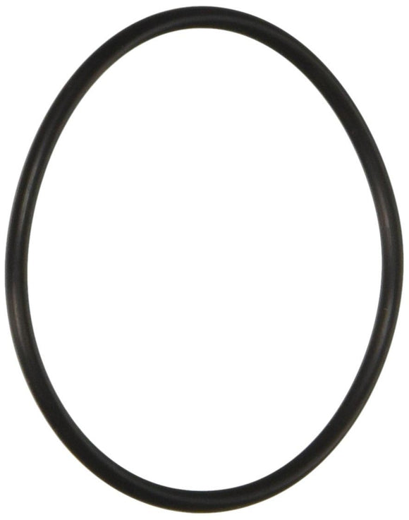 Pentair 59000600 Bulkhead O-Ring for FNS Plus D.E. Filter