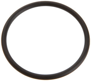 Pentair PacFab 6020018 O-Ring for Pump Adapter