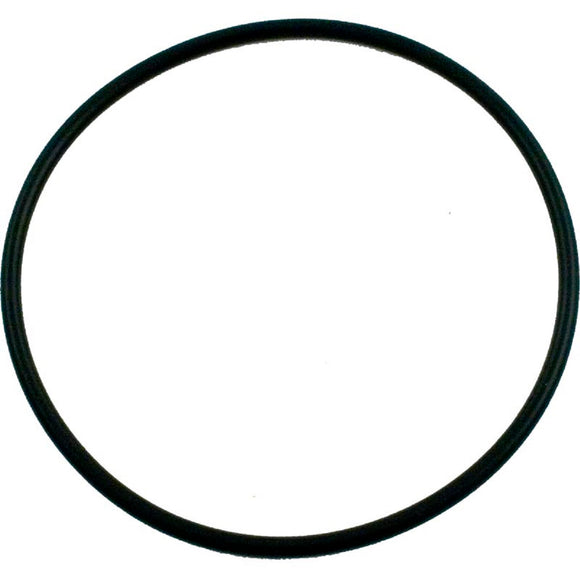 Pentair 354533 O-Ring Lid for Sta-Rite Dynamo Aboveground Pool Pump