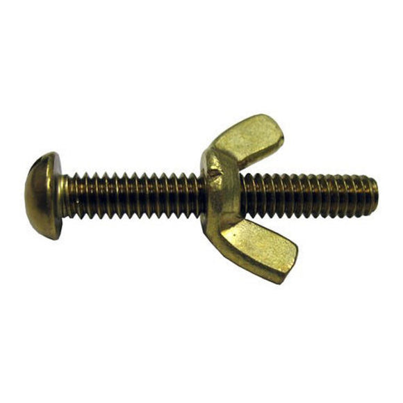 Pentair R221156 155 Wing Nut and Brass Bolt
