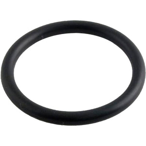 APC APCO2441 SPX0410Z1 O-Ring for Valve and Pro Series Sand Filter